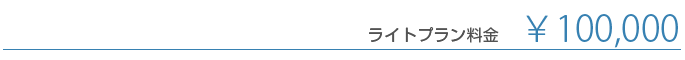 ライトプラン価格