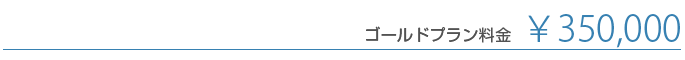 ゴールドプラン価格